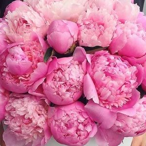 Meet your Posher, Missie